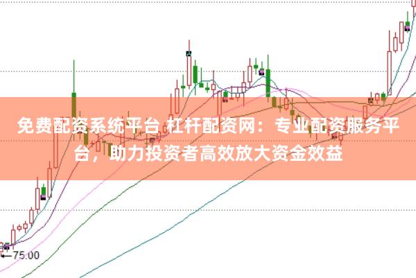 免费配资系统平台 杠杆配资网：专业配资服务平台，助力投资者高效放大资金效益