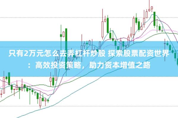 只有2万元怎么去弄杠杆炒股 探索股票配资世界：高效投资策略，助力资本增值之路