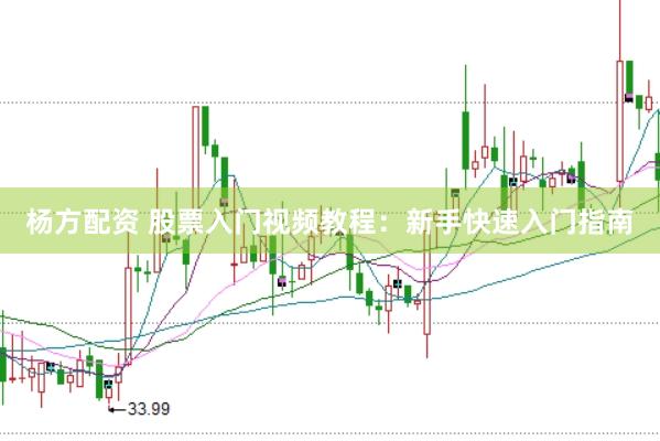 杨方配资 股票入门视频教程：新手快速入门指南
