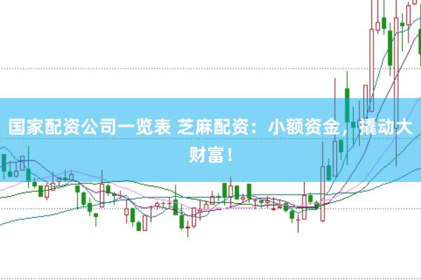 国家配资公司一览表 芝麻配资：小额资金，撬动大财富！