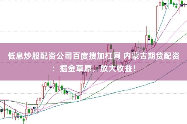 低息炒股配资公司百度搜加杠网 内蒙古期货配资：掘金草原，放大收益！