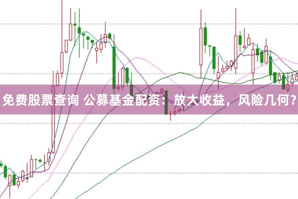 免费股票查询 公募基金配资：放大收益，风险几何？