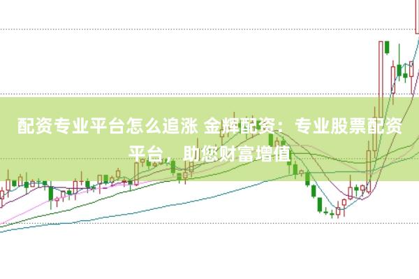 配资专业平台怎么追涨 金辉配资：专业股票配资平台，助您财富增值