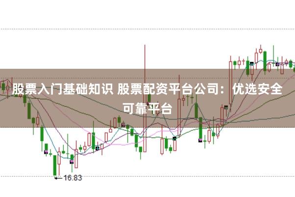 股票入门基础知识 股票配资平台公司：优选安全可靠平台