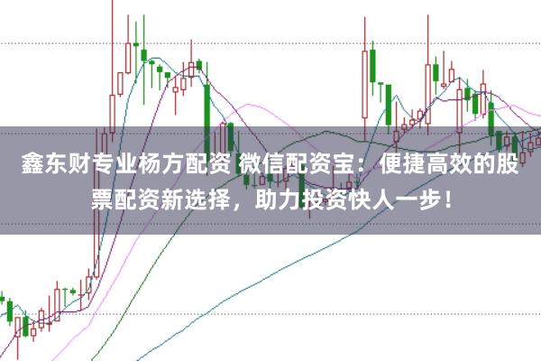 鑫东财专业杨方配资 微信配资宝：便捷高效的股票配资新选择，助力投资快人一步！