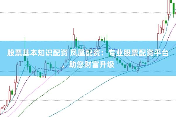 股票基本知识配资 凤凰配资：专业股票配资平台，助您财富升级