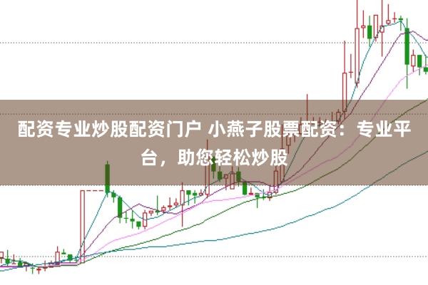 配资专业炒股配资门户 小燕子股票配资：专业平台，助您轻松炒股