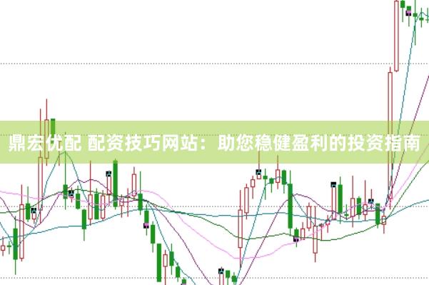 鼎宏优配 配资技巧网站：助您稳健盈利的投资指南