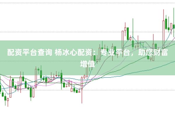 配资平台查询 杨冰心配资：专业平台，助您财富增值