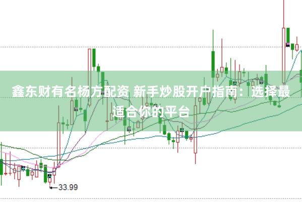 鑫东财有名杨方配资 新手炒股开户指南：选择最适合你的平台