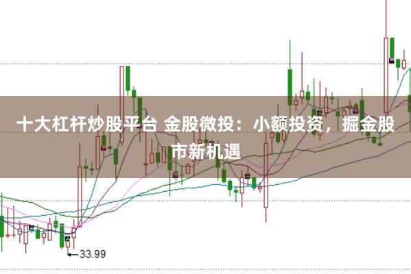 十大杠杆炒股平台 金股微投：小额投资，掘金股市新机遇