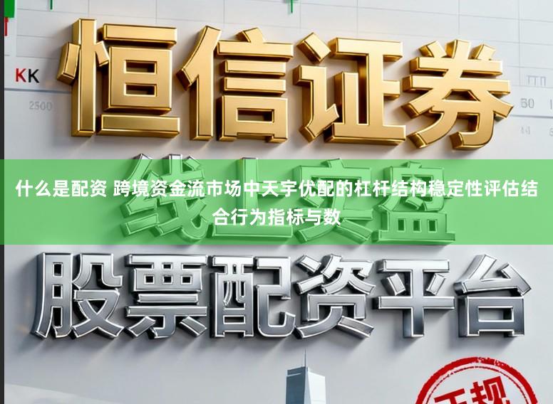 什么是配资 跨境资金流市场中天宇优配的杠杆结构稳定性评估结合行为指标与数