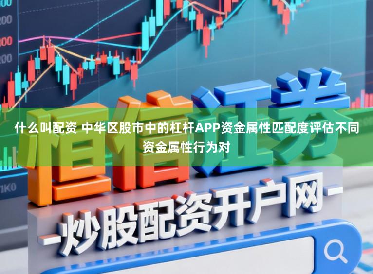什么叫配资 中华区股市中的杠杆APP资金属性匹配度评估不同资金属性行为对